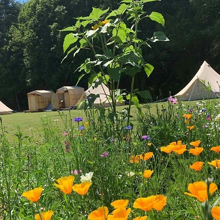 Au Pre Fleuri Eco Glamping Le Lindois Exterior foto