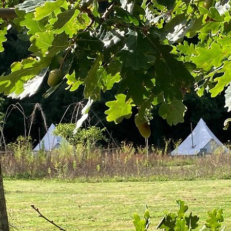 Au Pre Fleuri Eco Glamping Le Lindois Exterior foto