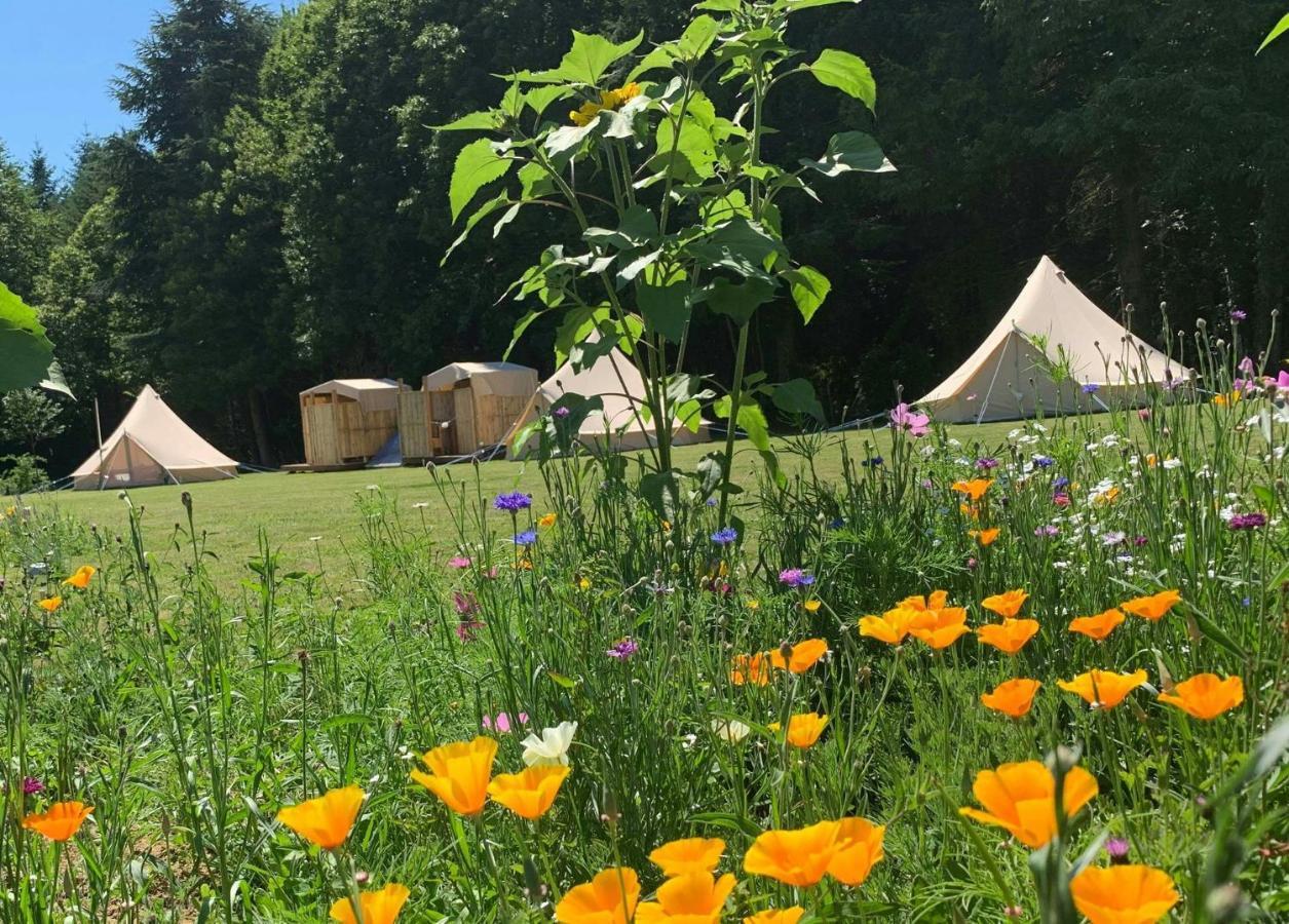 Au Pre Fleuri Eco Glamping Le Lindois Exterior foto