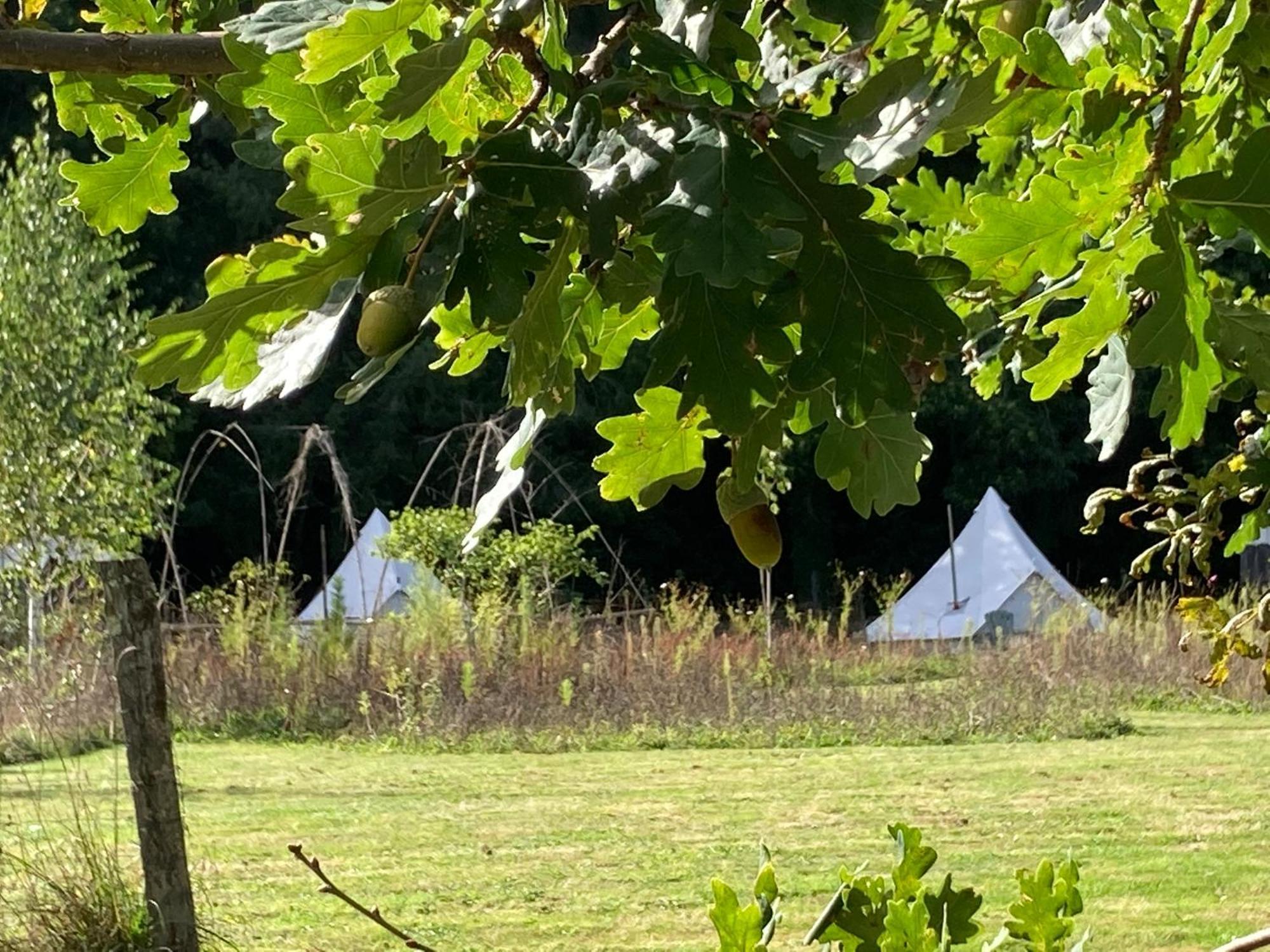 Au Pre Fleuri Eco Glamping Le Lindois Exterior foto