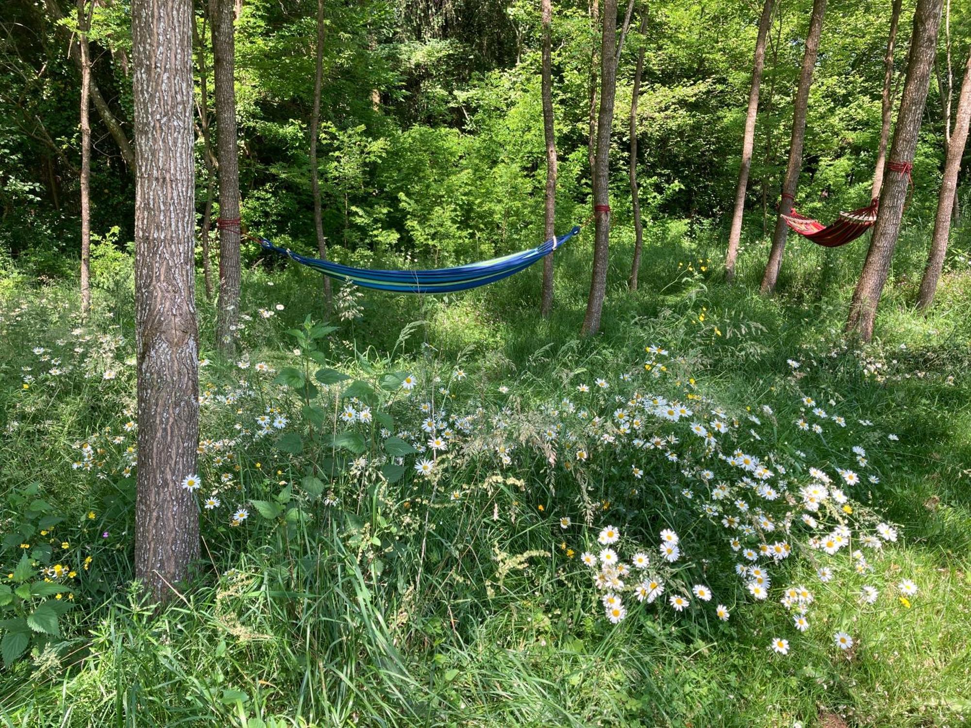 Au Pre Fleuri Eco Glamping Le Lindois Exterior foto